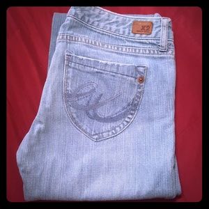 Express X2 Jeans